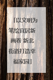 以文明为笔绘宜居新画卷 新北街道打造幸福家园