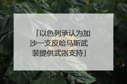 以色列承认为加沙一支反哈马斯武装提供武器支持