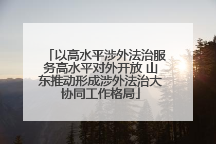 以高水平涉外法治服务高水平对外开放 山东推动形成涉外法治大协同工作格局