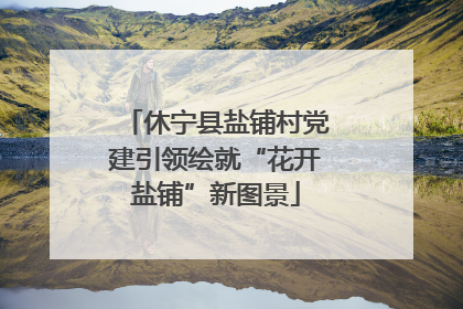 休宁县盐铺村党建引领绘就“花开盐铺”新图景