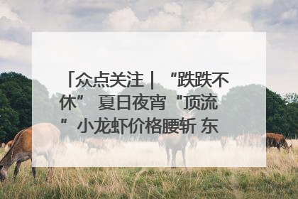 众点关注｜“跌跌不休” 夏日夜宵“顶流”小龙虾价格腰斩 东营人的快乐来了
