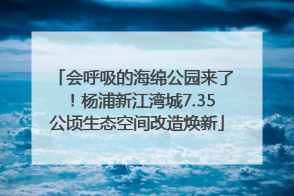 会呼吸的海绵公园来了！杨浦新江湾城7.35公顷生态空间改造焕新