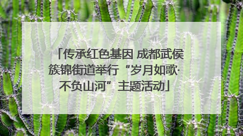 传承红色基因 成都武侯簇锦街道举行“岁月如歌·不负山河”主题活动
