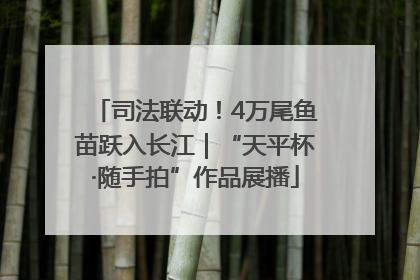 司法联动！4万尾鱼苗跃入长江｜“天平杯·随手拍”作品展播
