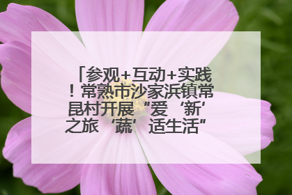 参观+互动+实践！常熟市沙家浜镇常昆村开展“爱‘新’之旅‘蔬’适生活”参观学习活动