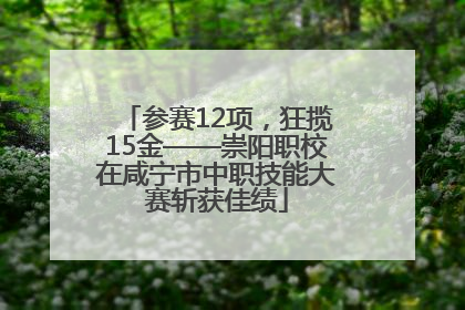 参赛12项，狂揽15金——崇阳职校在咸宁市中职技能大赛斩获佳绩