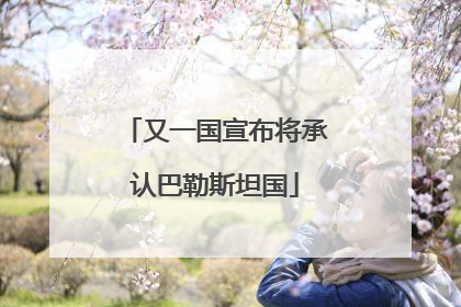 又一国宣布将承认巴勒斯坦国