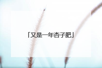 又是一年杏子肥