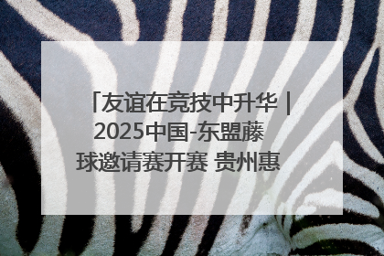 友谊在竞技中升华｜2025中国-东盟藤球邀请赛开赛 贵州惠水燃动“空中芭蕾”