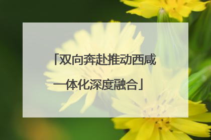双向奔赴推动西咸一体化深度融合