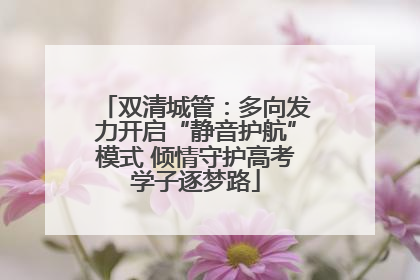 双清城管：多向发力开启“静音护航”模式 倾情守护高考学子逐梦路