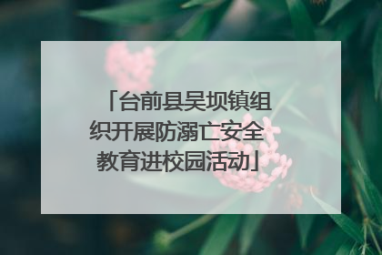 台前县吴坝镇组织开展防溺亡安全教育进校园活动