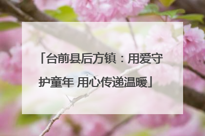 台前县后方镇：用爱守护童年 用心传递温暖