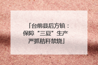 台前县后方镇：保障“三夏”生产 严抓秸秆禁烧