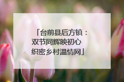 台前县后方镇：双节同辉映初心 织密乡村温情网