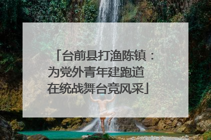 台前县打渔陈镇：为党外青年建跑道 在统战舞台竞风采