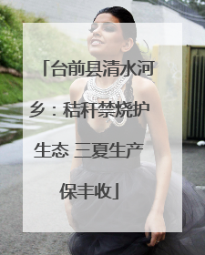 台前县清水河乡：秸秆禁烧护生态 三夏生产保丰收