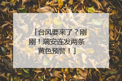台风要来了？刚刚！瑞安连发两条黄色预警！