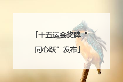 十五运会奖牌“同心跃”发布