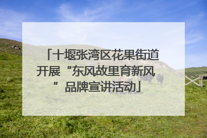 十堰张湾区花果街道开展“东风故里育新风”品牌宣讲活动