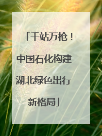 千站万枪！中国石化构建湖北绿色出行新格局