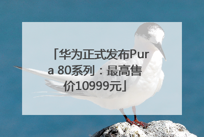 华为正式发布Pura 80系列：最高售价10999元