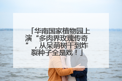 华南国家植物园上演“多肉界玫瑰传奇”，从呆萌树干到炸裂种子全是戏！