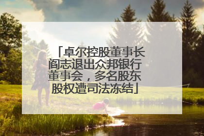 卓尔控股董事长阎志退出众邦银行董事会，多名股东股权遭司法冻结