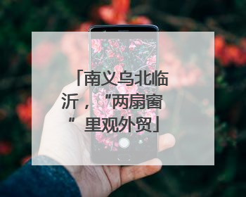 南义乌北临沂，“两扇窗”里观外贸