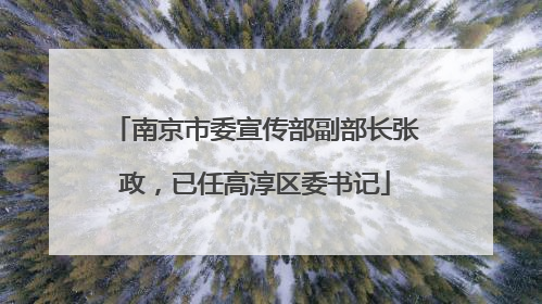 南京市委宣传部副部长张政，已任高淳区委书记