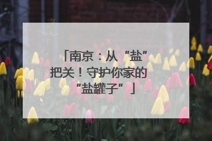 南京：从“盐”把关！守护你家的“盐罐子”