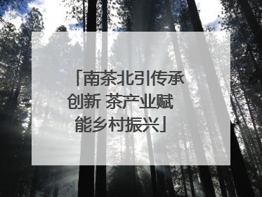 南茶北引传承创新 茶产业赋能乡村振兴