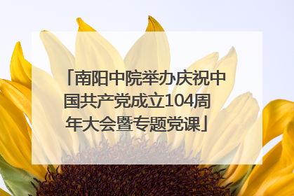 南阳中院举办庆祝中国共产党成立104周年大会暨专题党课
