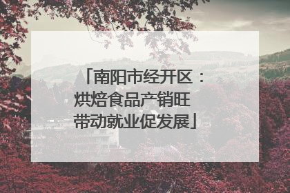 南阳市经开区：烘焙食品产销旺 带动就业促发展
