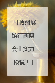 博州展馆在商博会上实力抢镜！