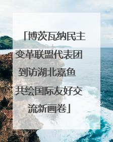 博茨瓦纳民主变革联盟代表团到访湖北嘉鱼 共绘国际友好交流新画卷