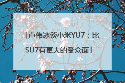 卢伟冰谈小米YU7：比SU7有更大的受众面