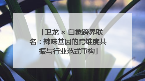 卫龙 × 白象跨界联名：辣味基因的跨维度共振与行业范式重构