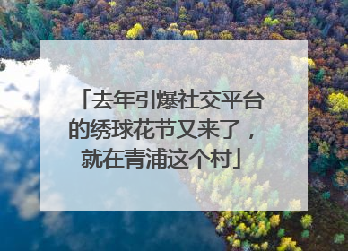 去年引爆社交平台的绣球花节又来了，就在青浦这个村