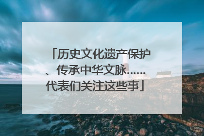 历史文化遗产保护、传承中华文脉……代表们关注这些事