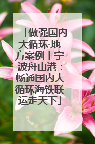 做强国内大循环·地方案例丨宁波舟山港：畅通国内大循环海铁联运走天下