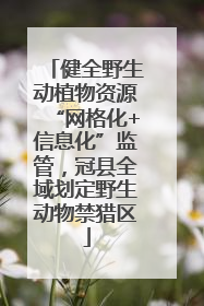 健全野生动植物资源“网格化+信息化”监管，冠县全域划定野生动物禁猎区