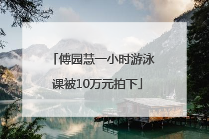傅园慧一小时游泳课被10万元拍下