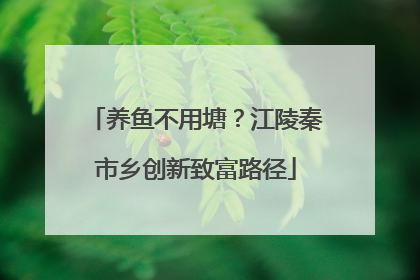 养鱼不用塘？江陵秦市乡创新致富路径