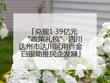 兑现1·39亿元“政策礼包” 四川达州市达川区用真金白银助推民企发展