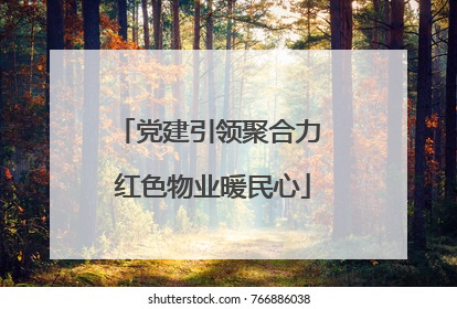 党建引领聚合力 红色物业暖民心