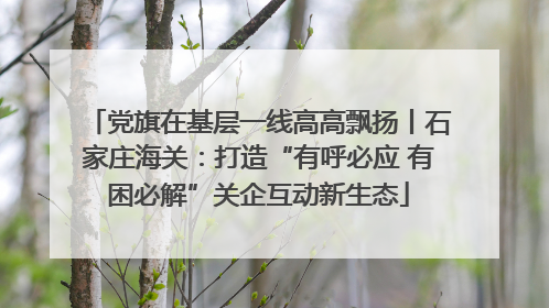 党旗在基层一线高高飘扬丨石家庄海关：打造“有呼必应 有困必解”关企互动新生态