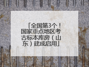 全国第3个！国家重点地区考古标本库房（山东）建成启用