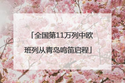 全国第11万列中欧班列从青岛鸣笛启程