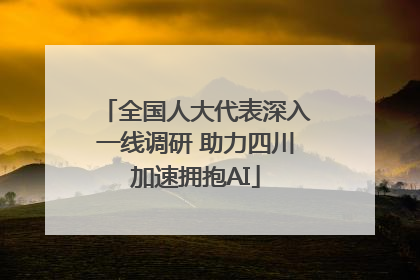 全国人大代表深入一线调研 助力四川加速拥抱AI